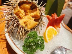海胆刺身-三月居酒屋(青年大街店)