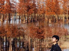 -白鹭湾湿地公园