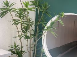 -水沐莲清瑜伽·普拉提