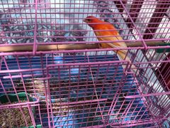 -伊隆斋(什刹海店)