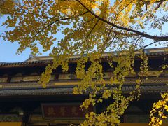 -西园戒幢律寺