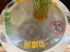 -丫丫汤膳打边炉(宏府408坊店)