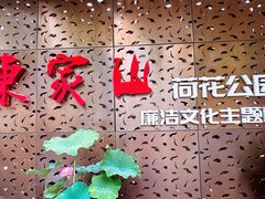 -陈家山荷花公园