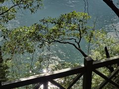 -广州市流溪河国家森林公园