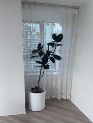 -HEYAN荷妍专业脱毛连锁机构