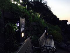-龙头岩(Dragon Head Rock)