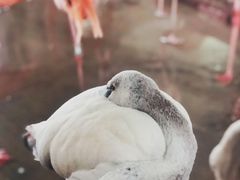 -哈尔滨北方森林动物园