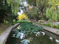 -北陵公园