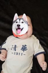 -萌咔奇奇儿童摄影(宝安总店)