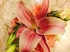 -西安赛瑞喜来登大酒店