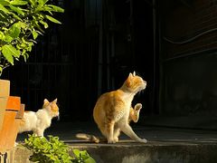 -宝通禅寺
