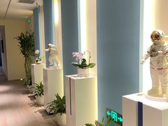 -爱氧森林·日本兴百世SHENPIX微高压氧舱