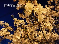 -广富林郊野公园