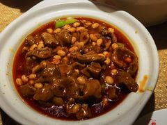 红烧肥肠煲-渝信川菜(西单店)