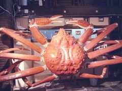 -蟹之国·精品蟹料理(极地店)