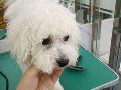 -瑞派宠物医院·24小时骨科·心脏·核磁(哈尔滨南岗店)