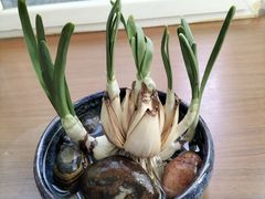 -西贝(无锡万象城店)