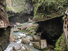 -鹿院坪生态旅游景区