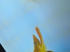 -徽三说·土徽菜·中国徽菜连锁品牌(一中店)