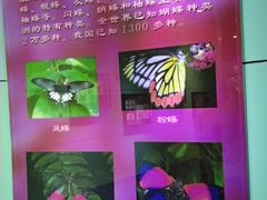 -上海昆虫博物馆