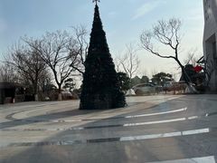 -静之湖湖畔餐厅