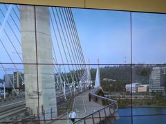 -DJI大疆(深圳华强北曼哈授权体验店)