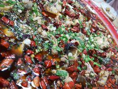 -东吴霸王兔(松青路店)