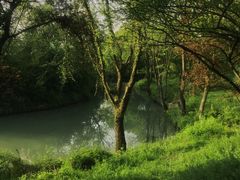 -西溪国家湿地公园