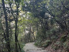 -杭州半山国家森林公园