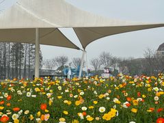 -歌斐颂巧克力小镇