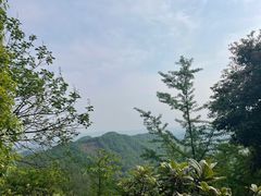 -凤栖山