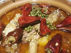 -局气 烤鸭·北京菜(光华路店)