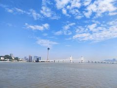 -芒洲湿地公园