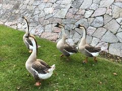 -天目湖涵田半山温泉