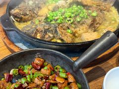 -老板恋上鱼(恒隆广场店)