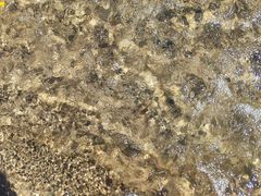 -安吉龙王山峡谷漂流