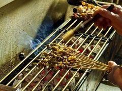 -山野的朋友露营炭火烤肉