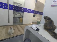 -拜鲁耶动物诊疗中心·宠家动物医院