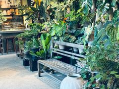 -自由生长植物工作室(深港花卉中心店)