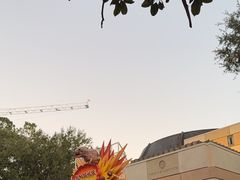 -奥兰多迪士尼动物王国乐园