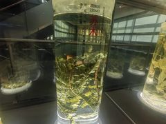 -广东中医药博物馆