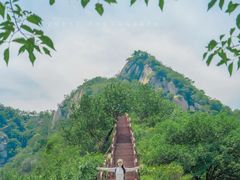 -大岭沟猕猴桃谷风景区