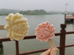 -白洋淀景区