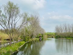 -溱湖国家湿地公园