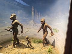 -国家自然博物馆