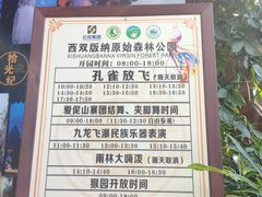 -西双版纳原始森林公园
