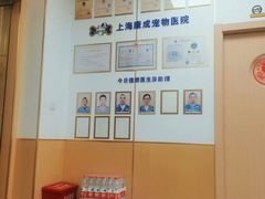 -康成宠物医院24H·CT·核磁共振