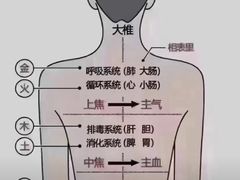 -裕和堂中医推拿艾灸(太古汇臻品店)