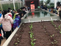 -黄龙溪欢乐田园