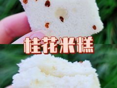 -阮大兴糕团(日月光中心店)